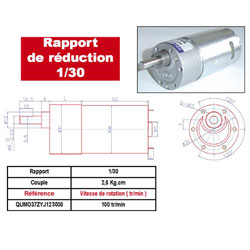 37ZYJ-36ZY 123000-30 MOTOREDUCTEUR 12V 1A