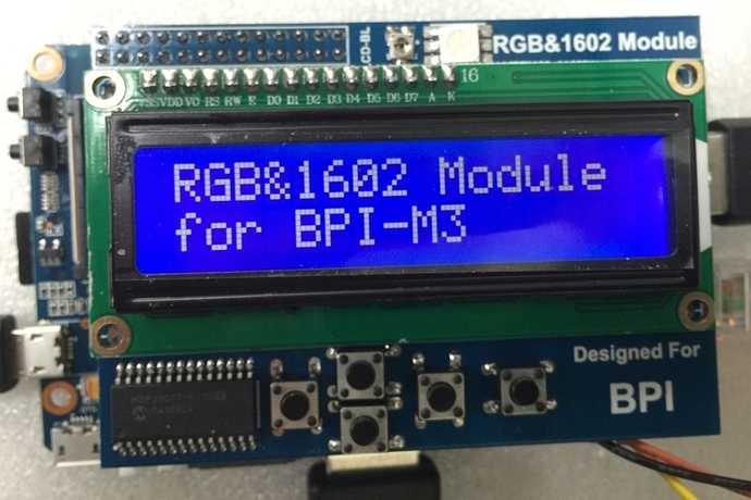 BPI LCD 1602 display module